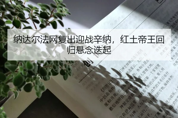 na-da-er-fa-wang-fu-chu-ying-zhan-xin-na-hong-tu-di-wang-hui-gui-xuan-nian-die-qi-2-363.jpg