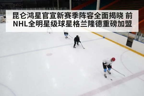 ice hockey rink